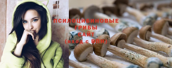 кокаин Алексин