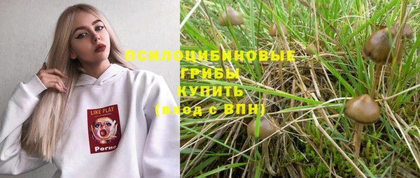 амфетамин Алексеевка