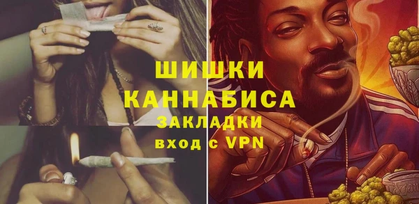 Альфа ПВП Аркадак