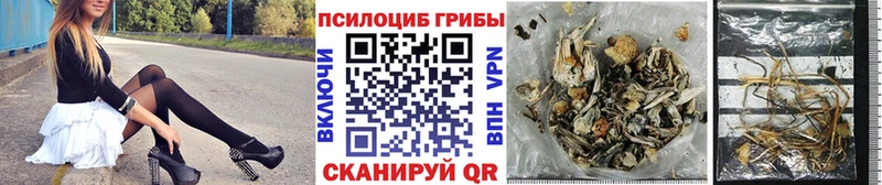 Псилоцибиновые грибы прущие грибы  Пушкино 