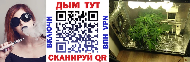 Шишки марихуана индика что такое Пушкино